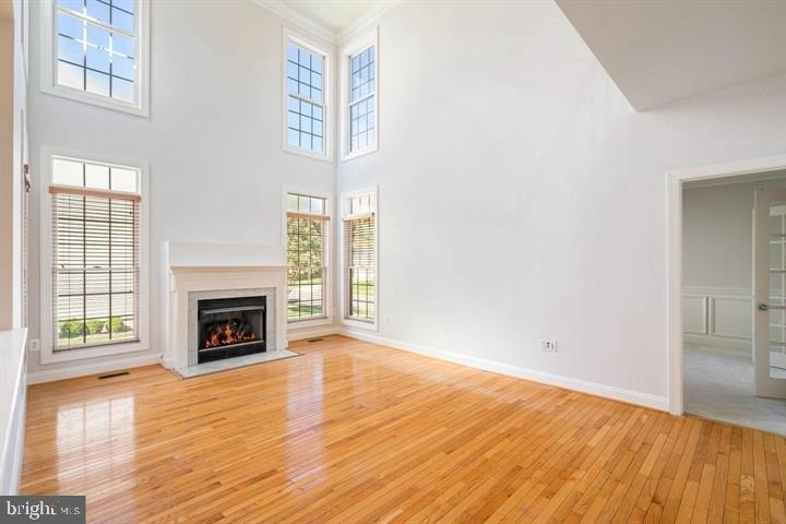2038 Madrillon Road - Photo 14