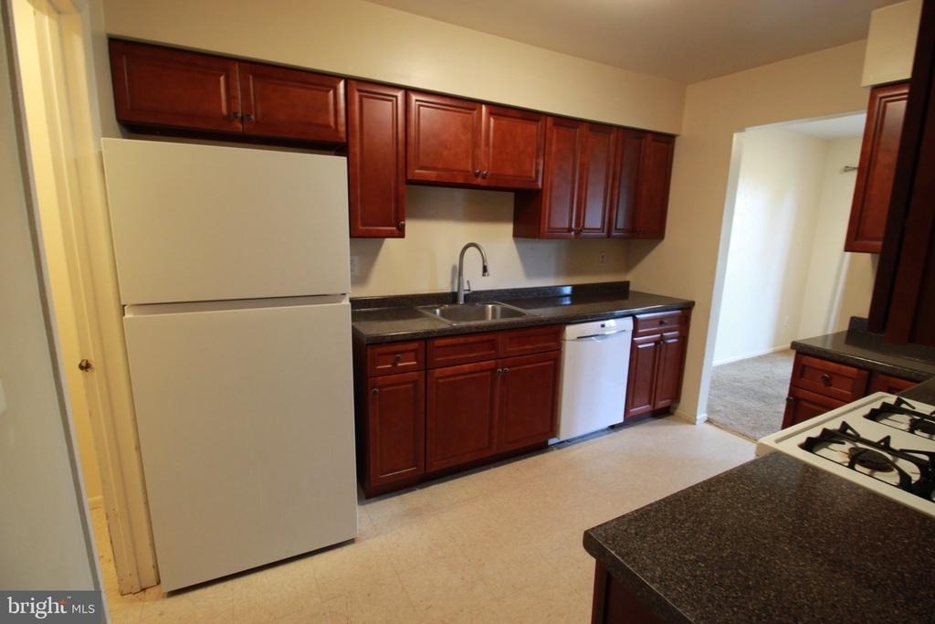 12 Coriander Drive - Photo 6