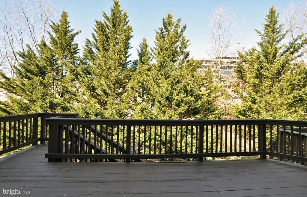5507 Edson Lane - Photo 7