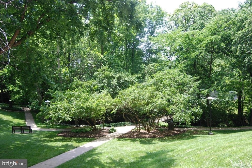 10500 Rockville Pike - Photo 26