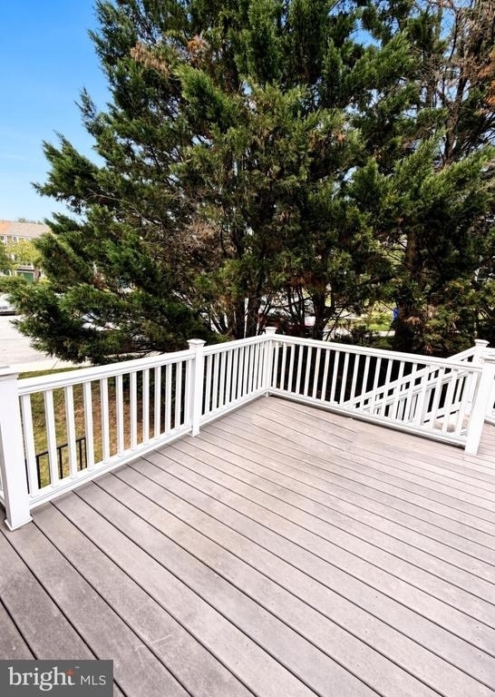 7730 Chatfield Lane - Photo 6