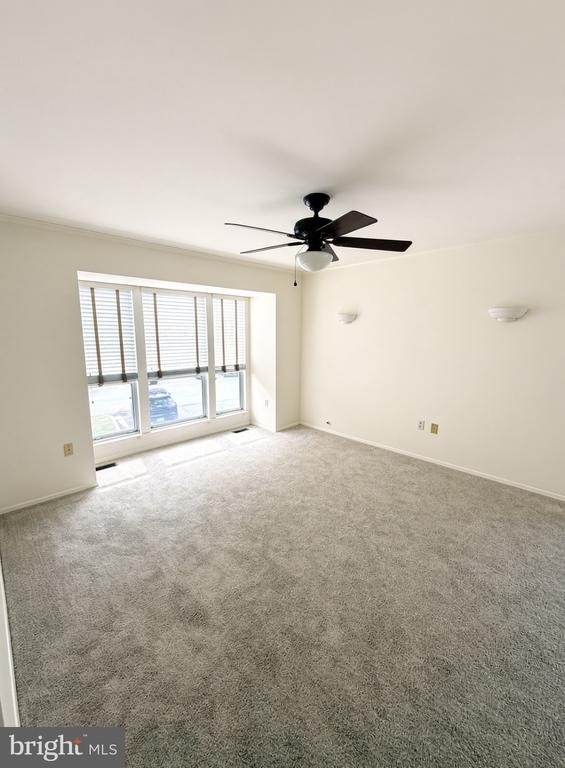 7730 Chatfield Lane - Photo 18