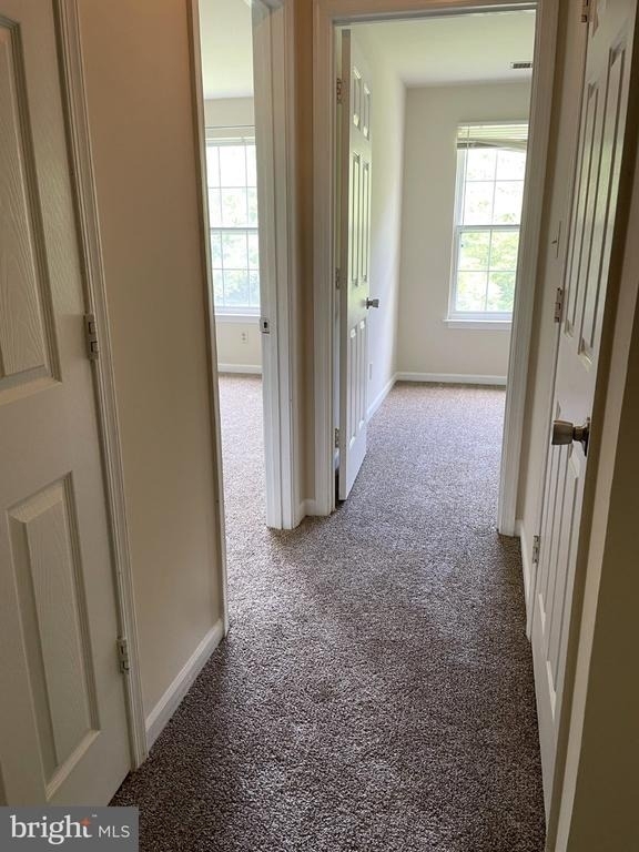 303 Tall Pines Court - Photo 22