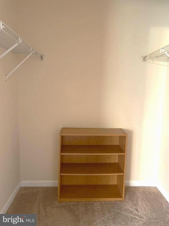 303 Tall Pines Court - Photo 12