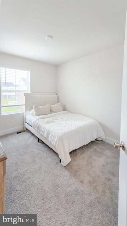 11042 Corvin Place - Photo 59