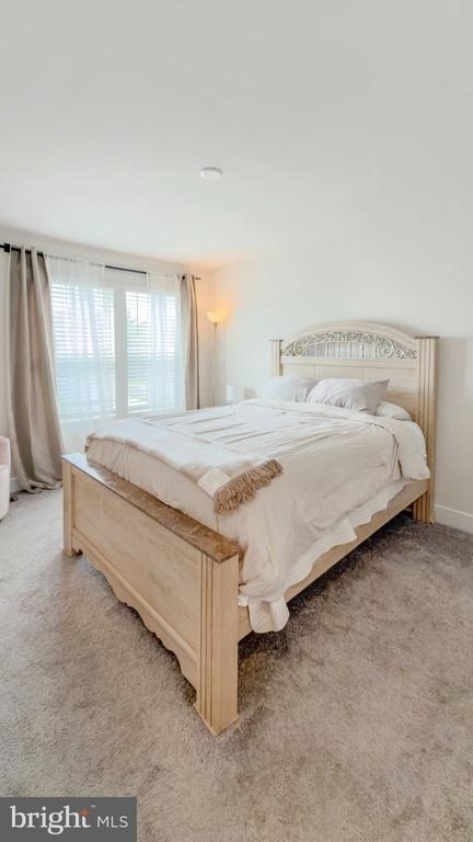 11042 Corvin Place - Photo 39
