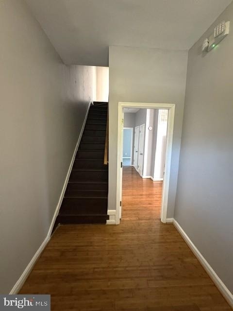 2101 Chelsea Terrace - Photo 2