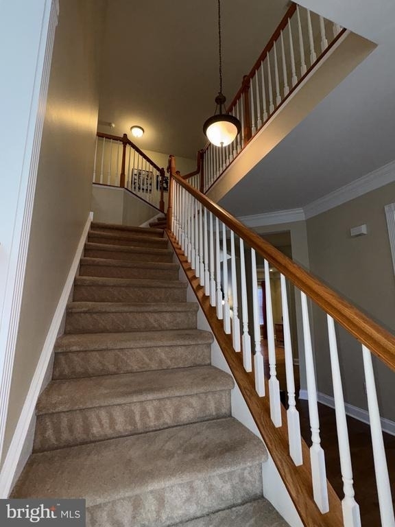 449 Spring Hollow Drive - Photo 39