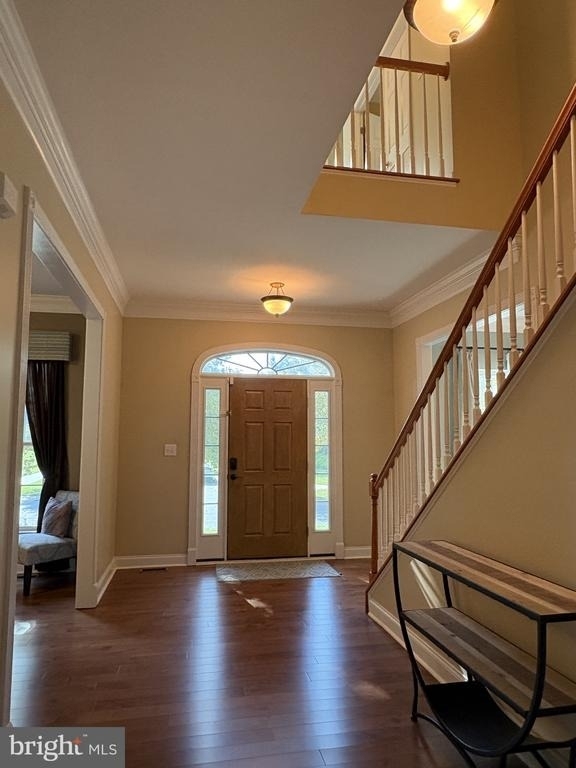 449 Spring Hollow Drive - Photo 3