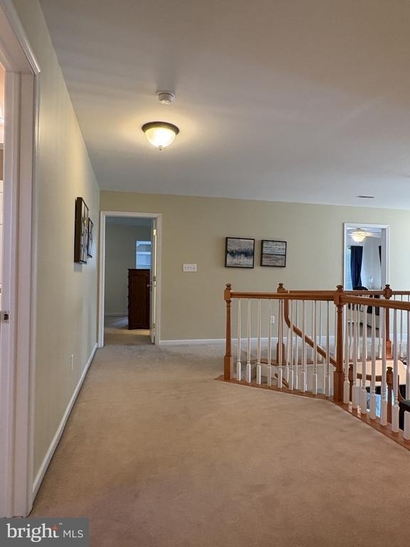 449 Spring Hollow Drive - Photo 57
