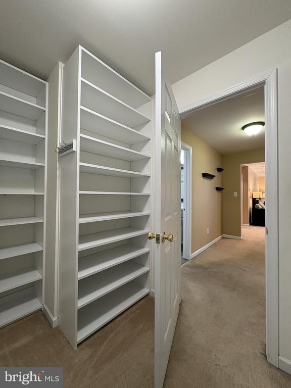449 Spring Hollow Drive - Photo 49