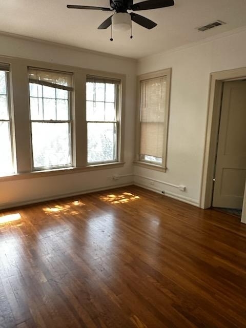 1519 Enfield St - Photo 3