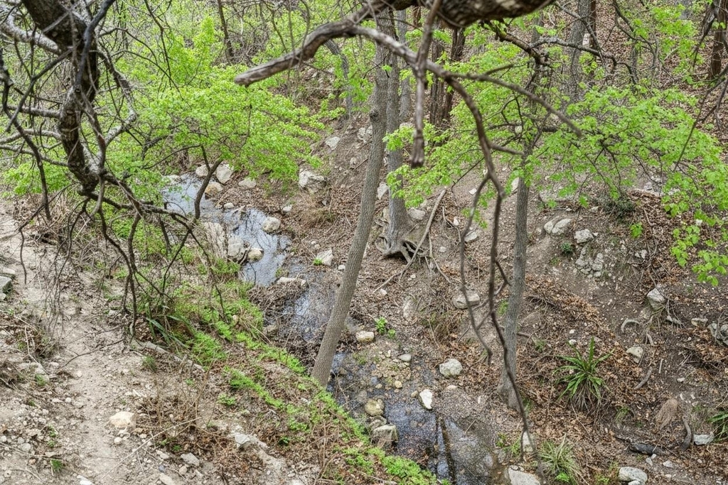107 Cascading Waters Pl - Photo 28