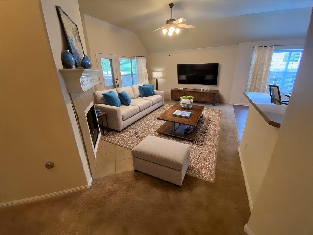 1002 Mesquite Hollow Pl - Photo 3