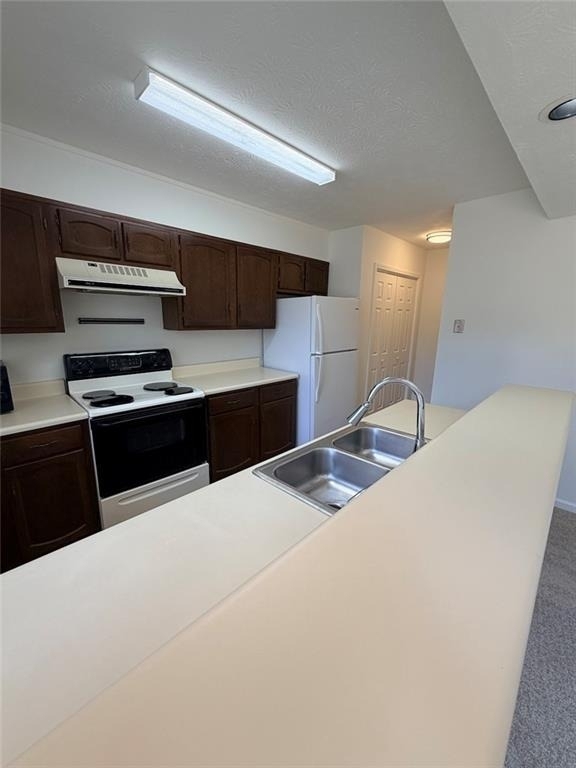 5556 Clover Rise Lane - Photo 4