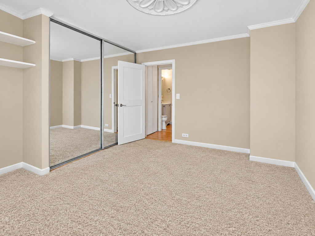 1255 N Sandburg Terrace - Photo 8