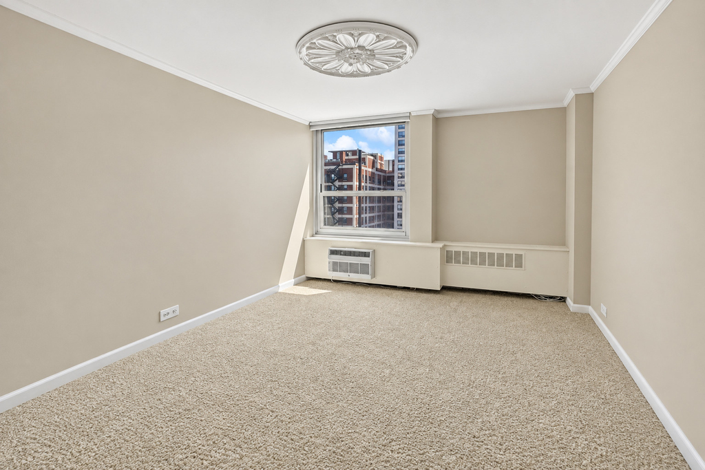 1255 N Sandburg Terrace - Photo 10