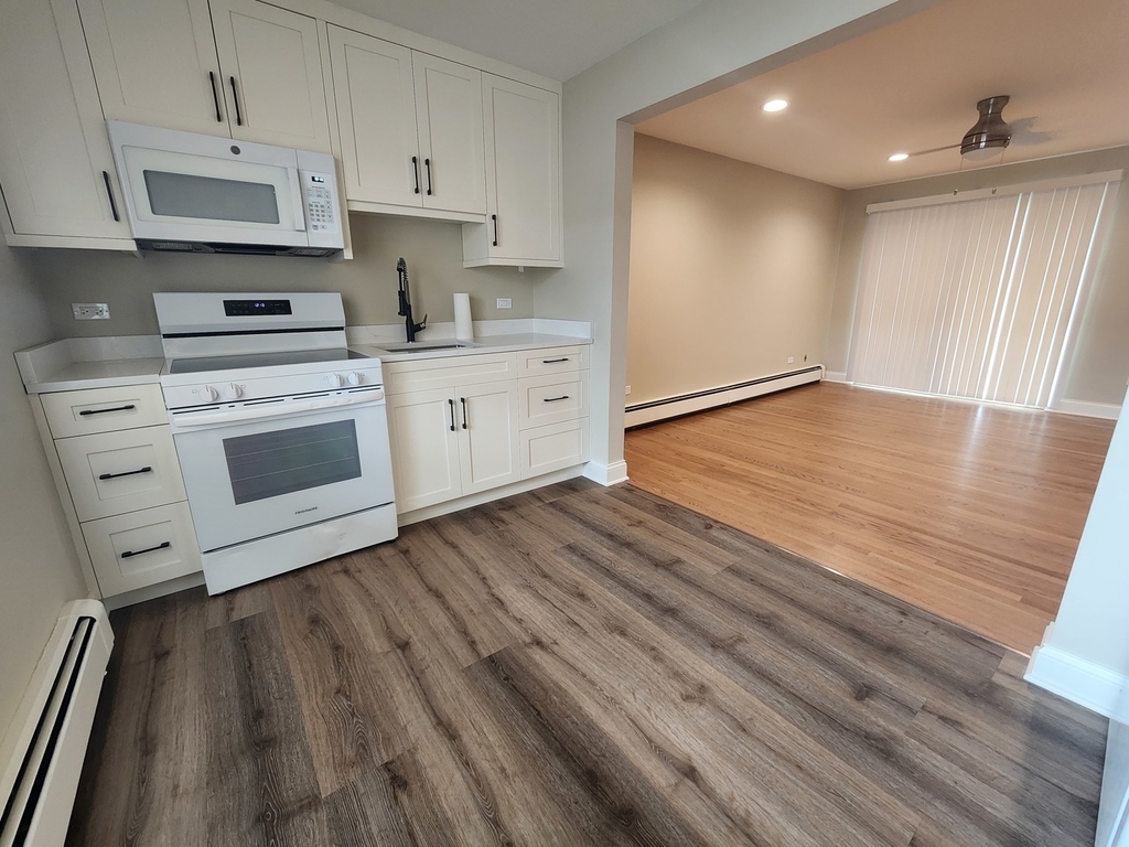 6024 W Irving Park Road - Photo 2