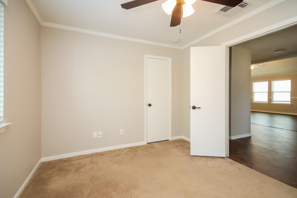 21610 Gannet Peak Way - Photo 11