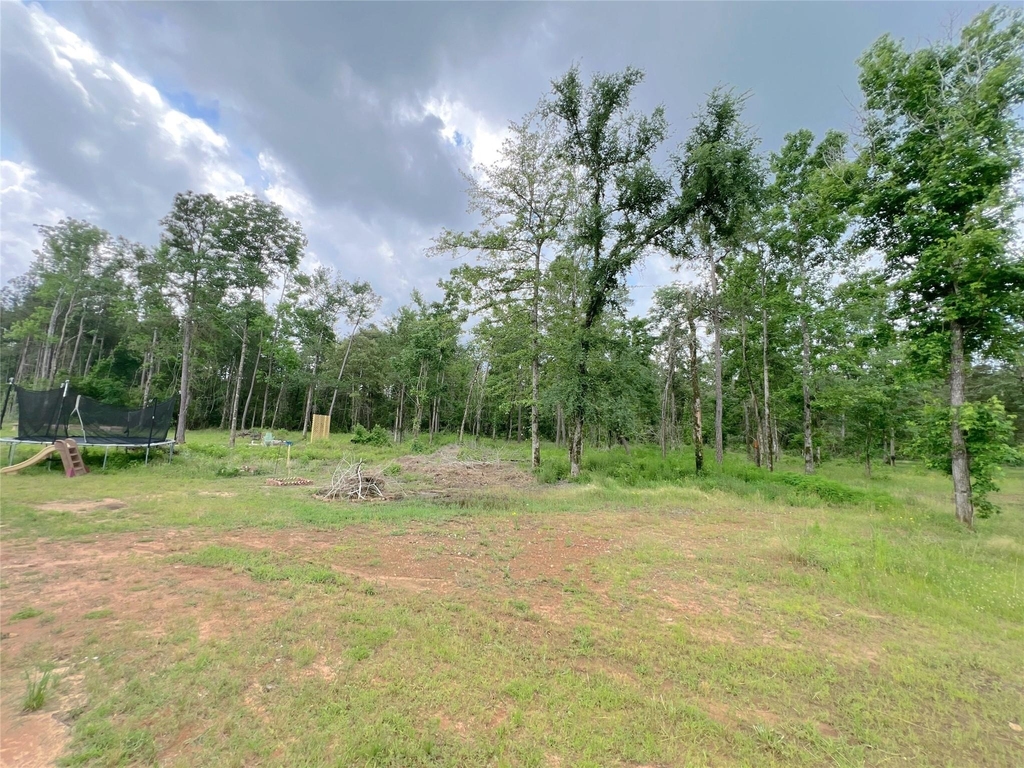 11642 Wilgers Way Way - Photo 4