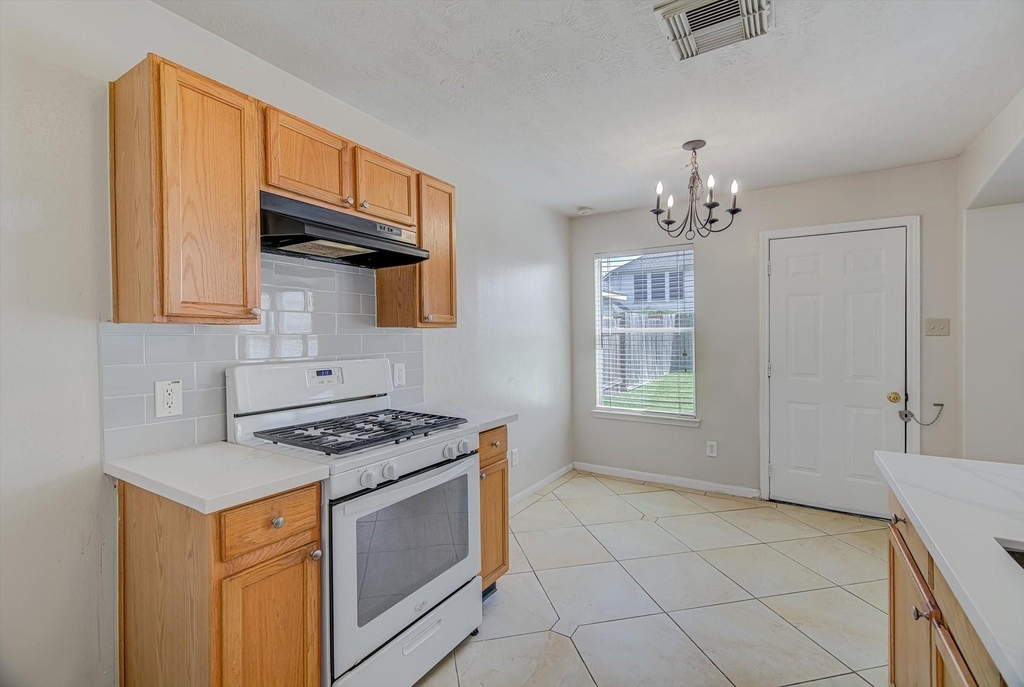13983 Maximos Drive - Photo 12