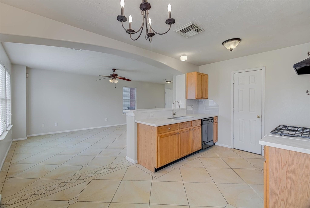 13983 Maximos Drive - Photo 8