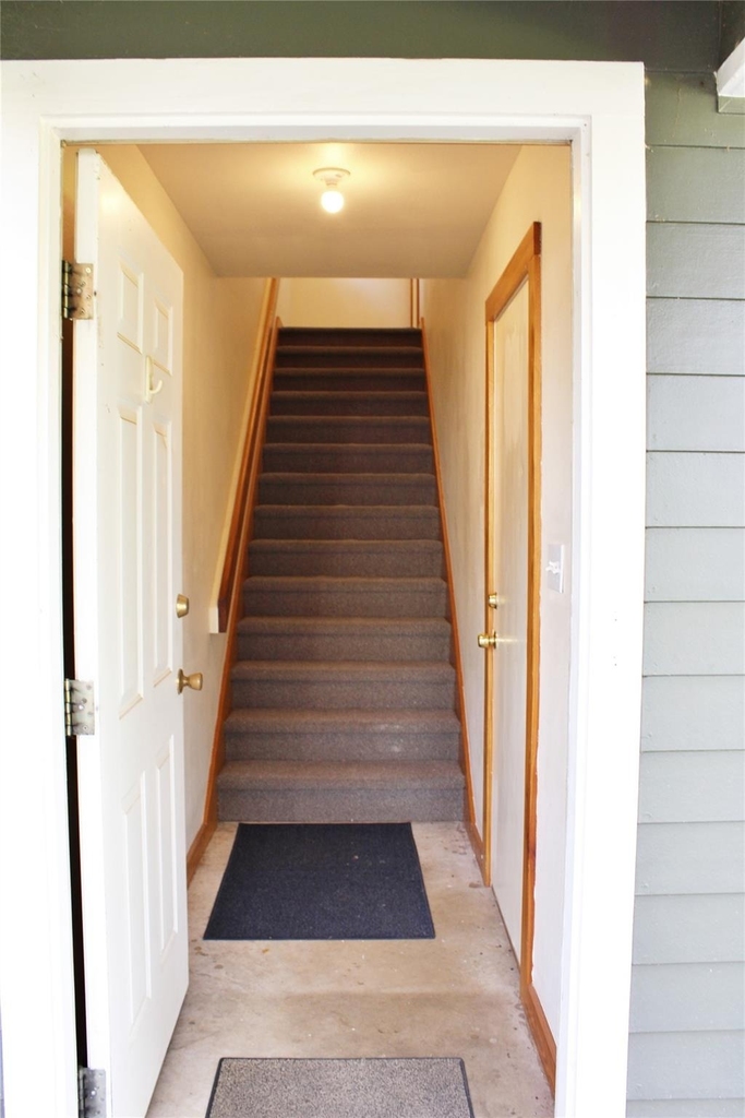 428 Dewees Street - Photo 14