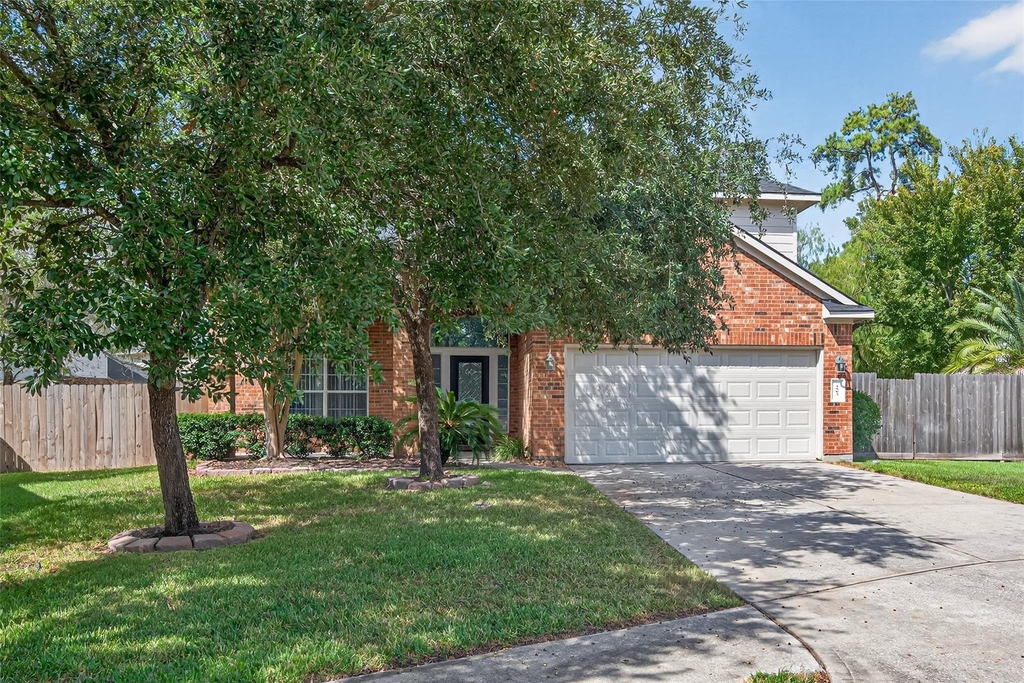 1003 Alp Springs Court - Photo 1