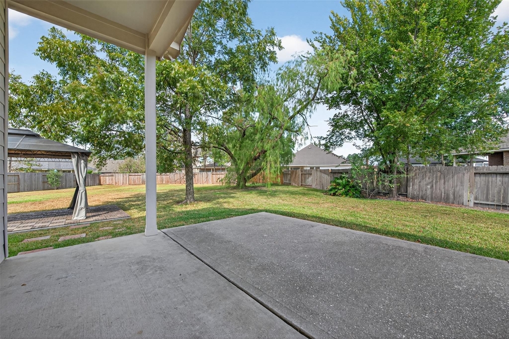 1003 Alp Springs Court - Photo 42