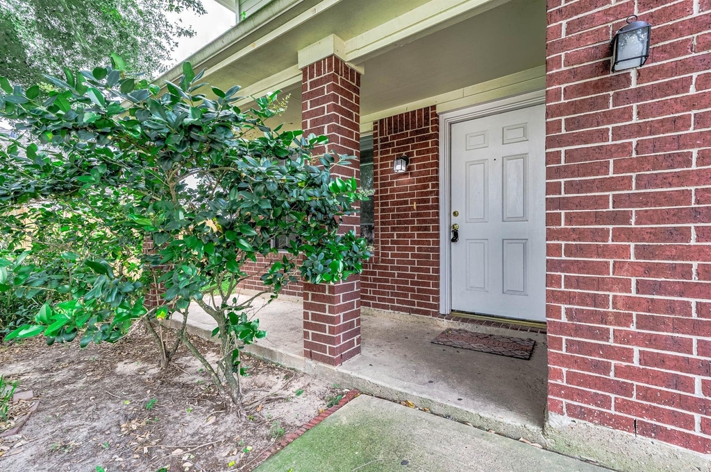 17219 Morning Blossom Place - Photo 3