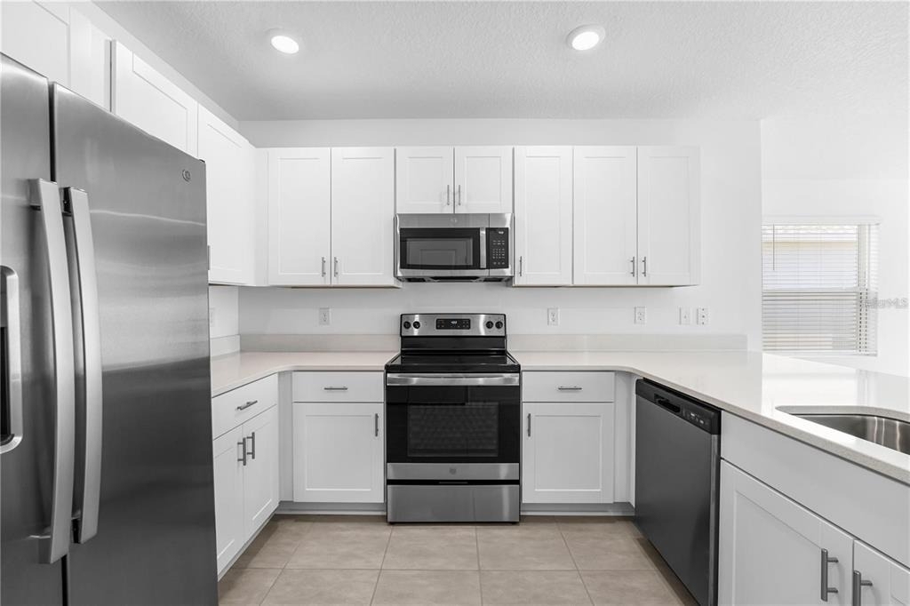 4560 Ranunculus Street - Photo 3