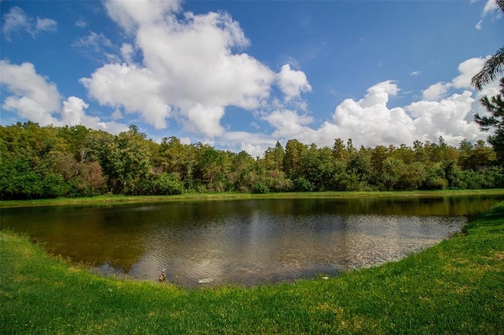 14215 Wistful Loop - Photo 43