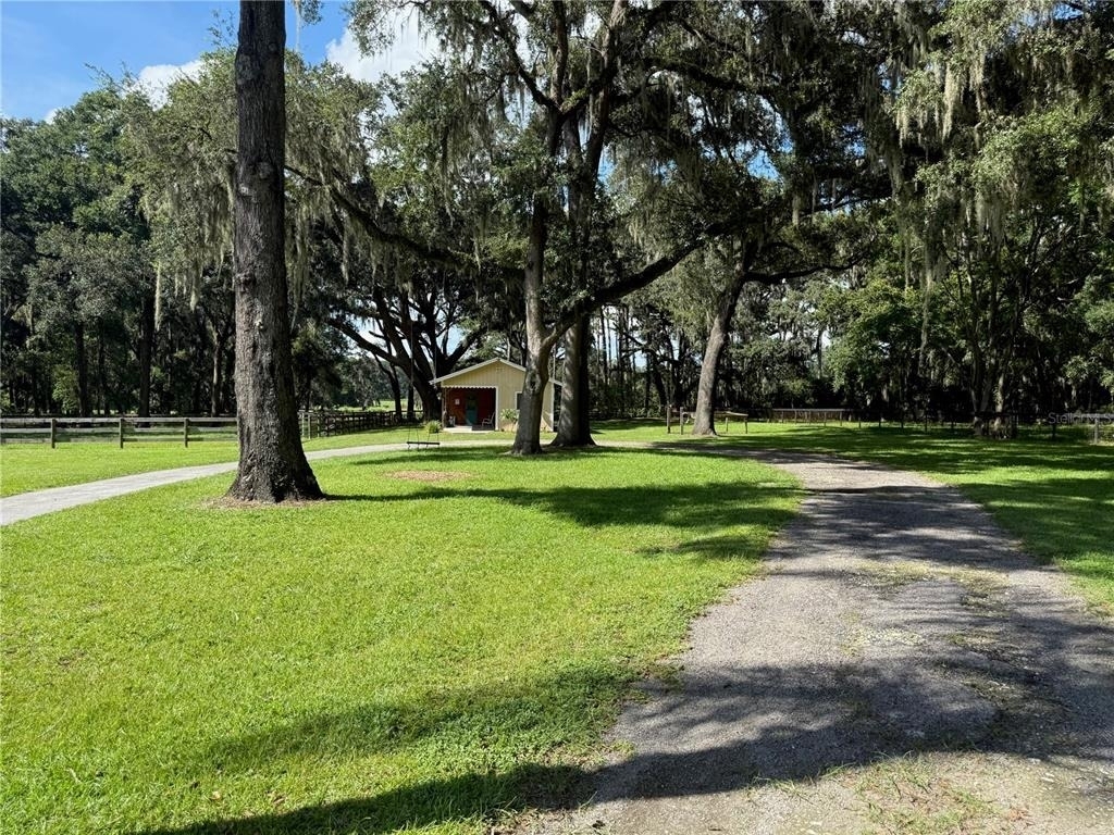 6597 W Highway 326 - Photo 56