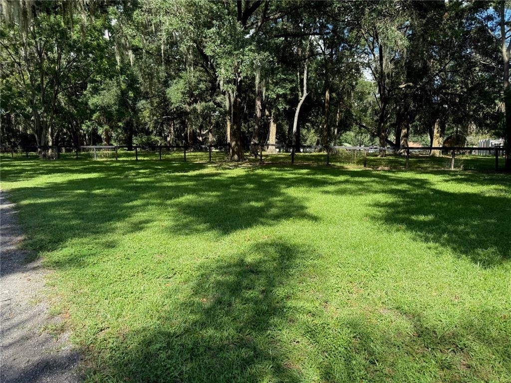 6597 W Highway 326 - Photo 57