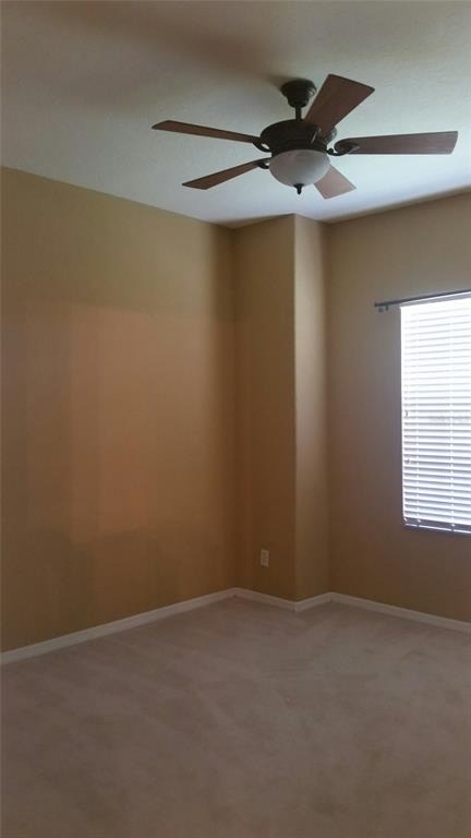 350 Lake Amberleigh Drive - Photo 30
