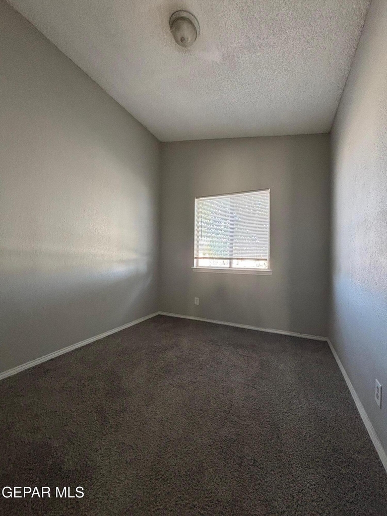 10840 Obsidian Street - Photo 4