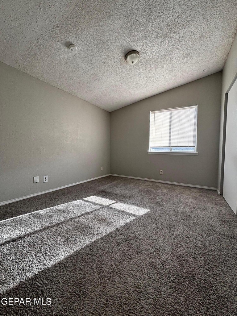 10840 Obsidian Street - Photo 6