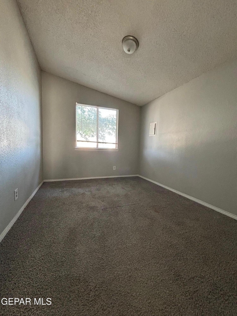 10840 Obsidian Street - Photo 5