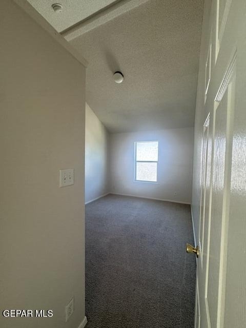 404 Desert Chicory Street - Photo 20