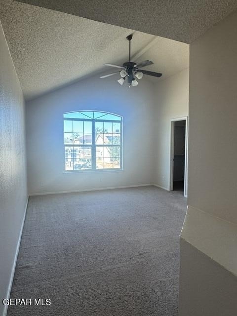404 Desert Chicory Street - Photo 11