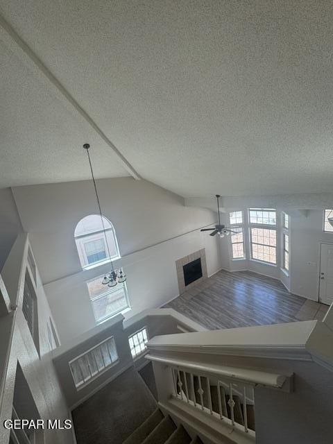 404 Desert Chicory Street - Photo 18