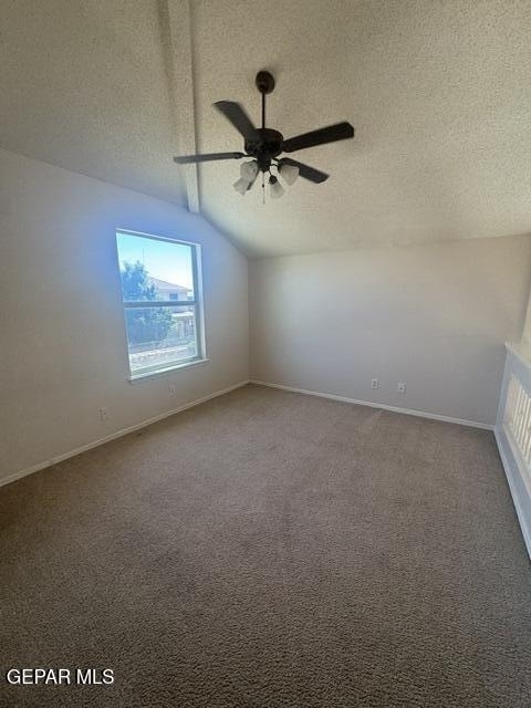 404 Desert Chicory Street - Photo 24