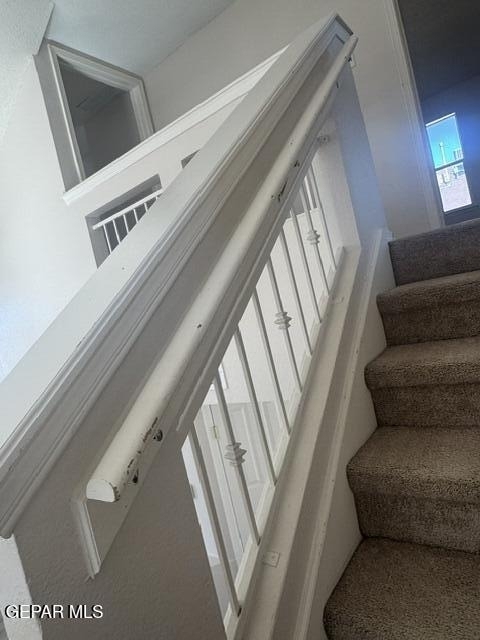 404 Desert Chicory Street - Photo 10