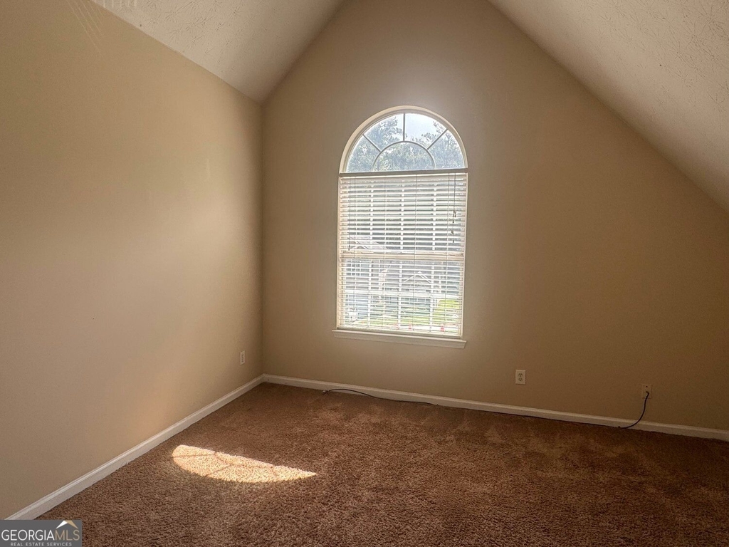 3229 Diamond Bluff - Photo 13