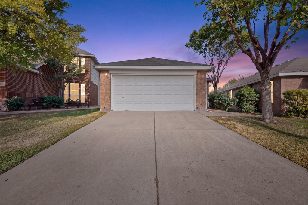 11529 Petunia Drive - Photo 0