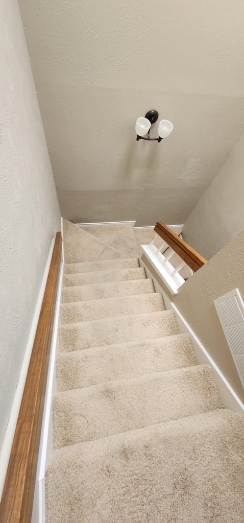 2107 Rose Cliff Lane - Photo 13