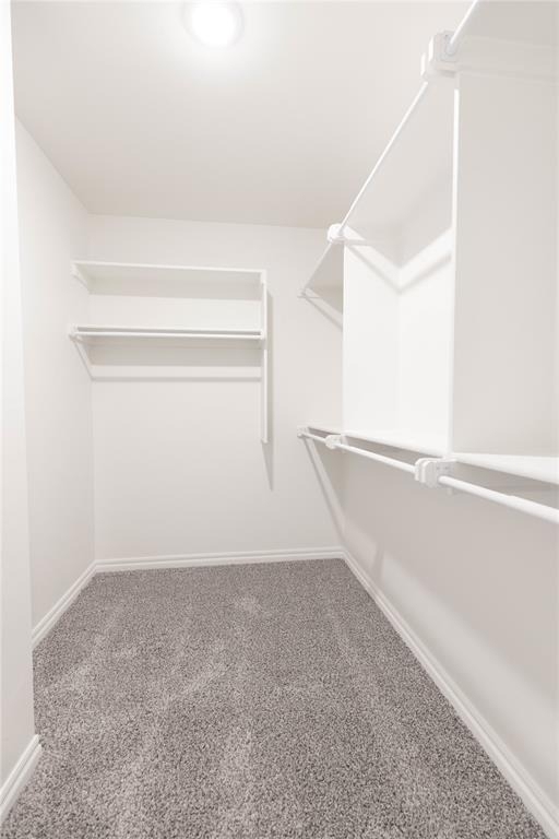 12324 Sw 32nd Street - Photo 6