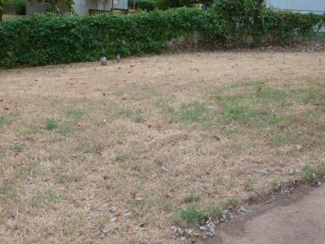 2421 Sandra Drive - Photo 11