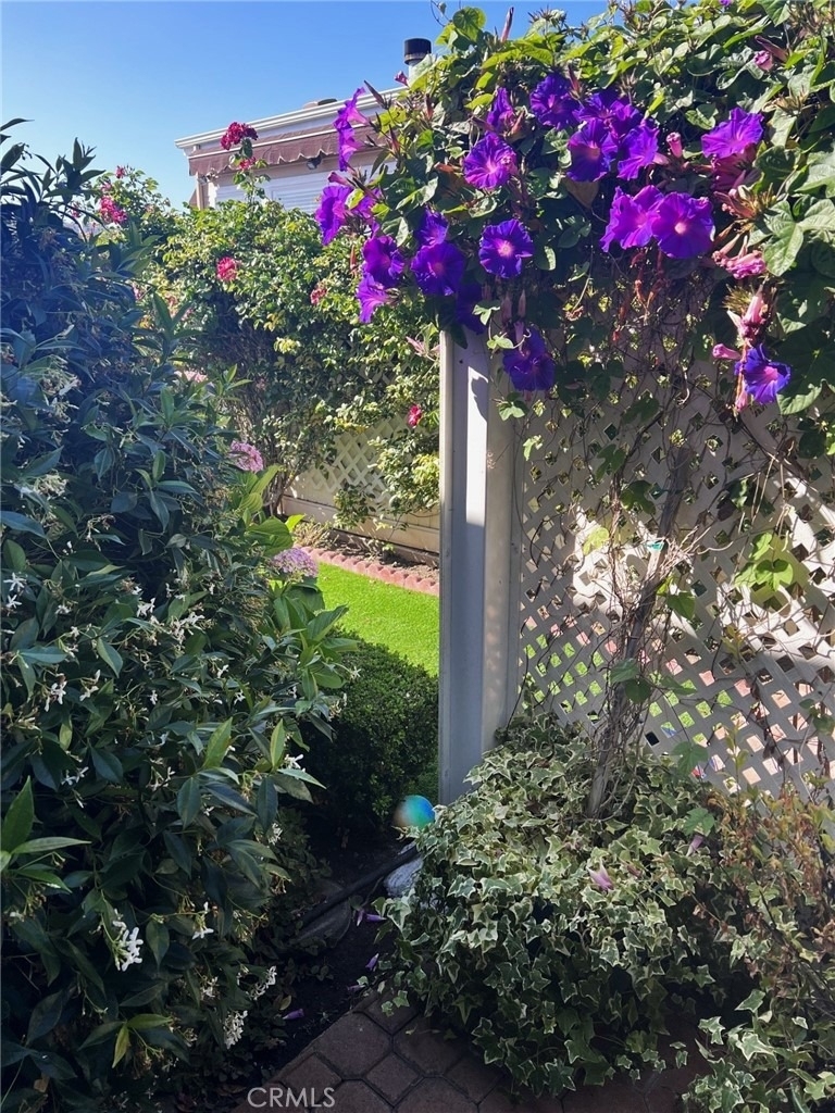 10 Saratoga - Photo 14
