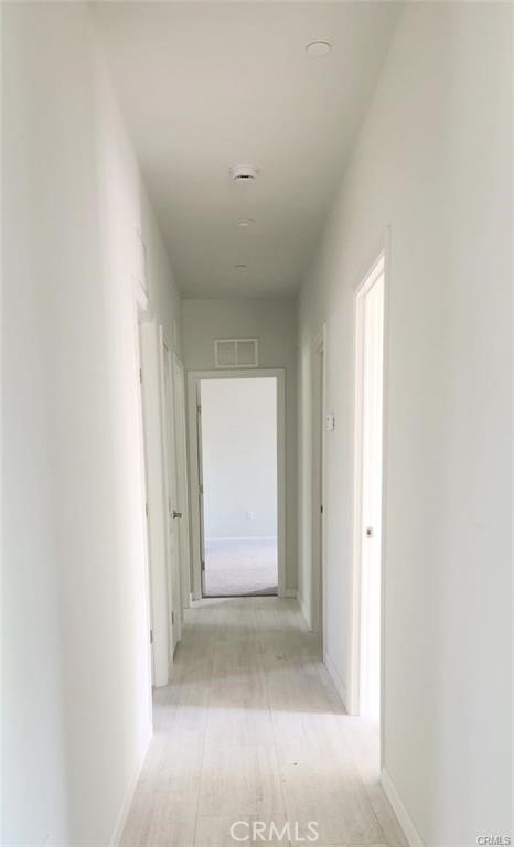 33031 Catlin - Photo 2